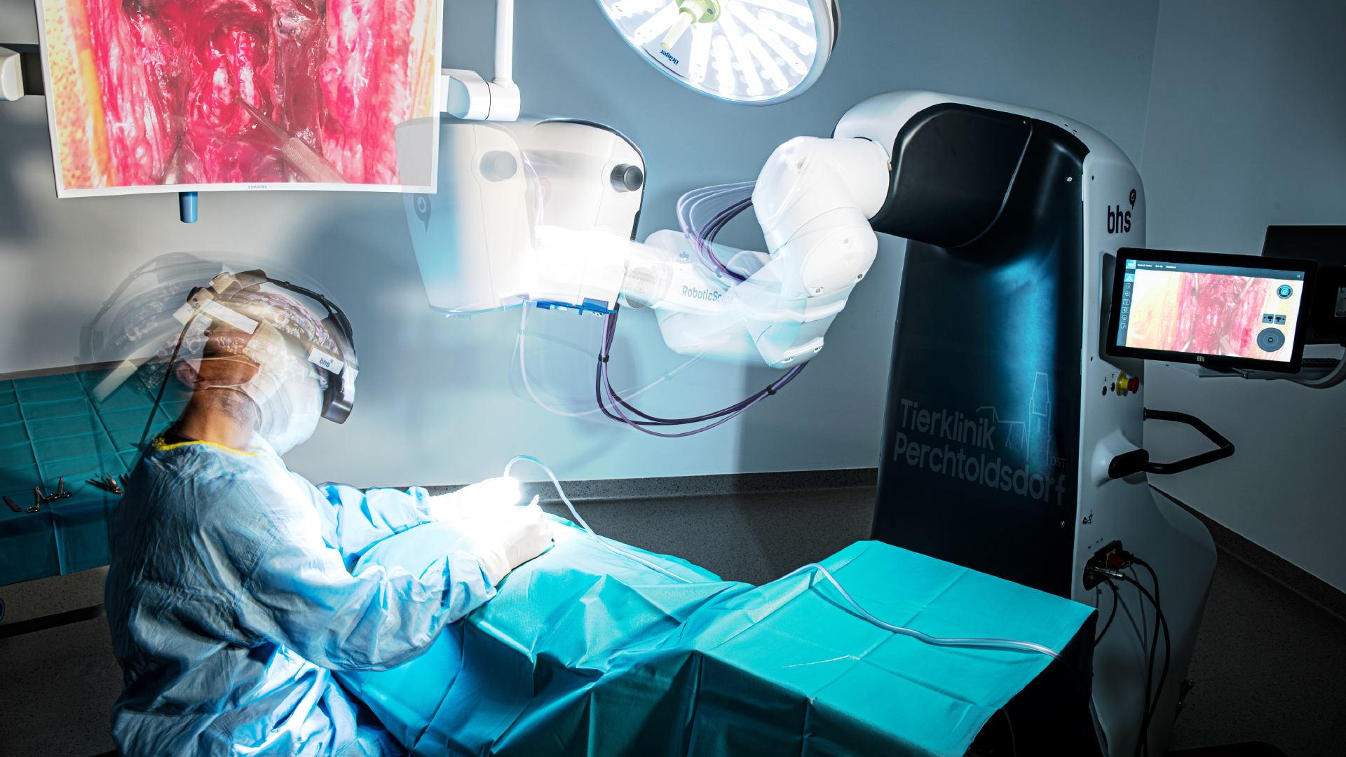 AUGMENTED REALITY OPERATIONS VETERINARY