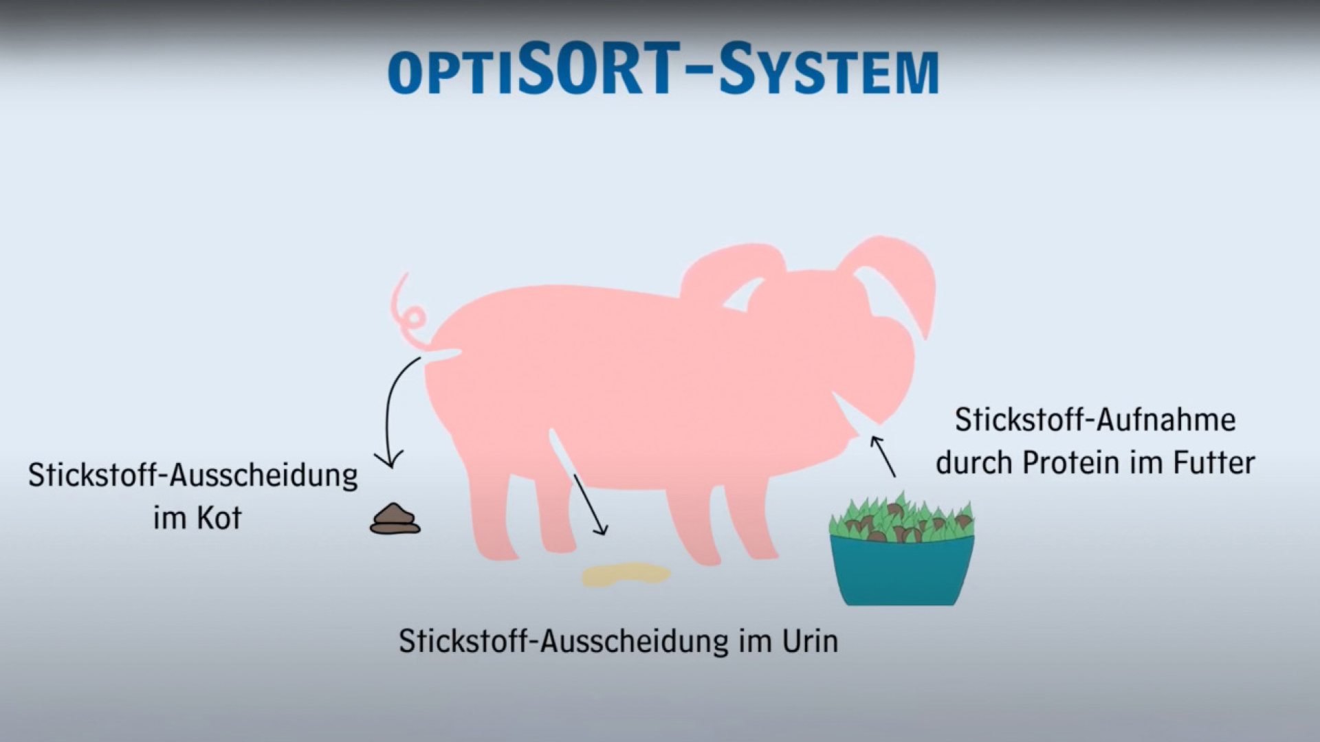 TIERERNAERHRUNG 01