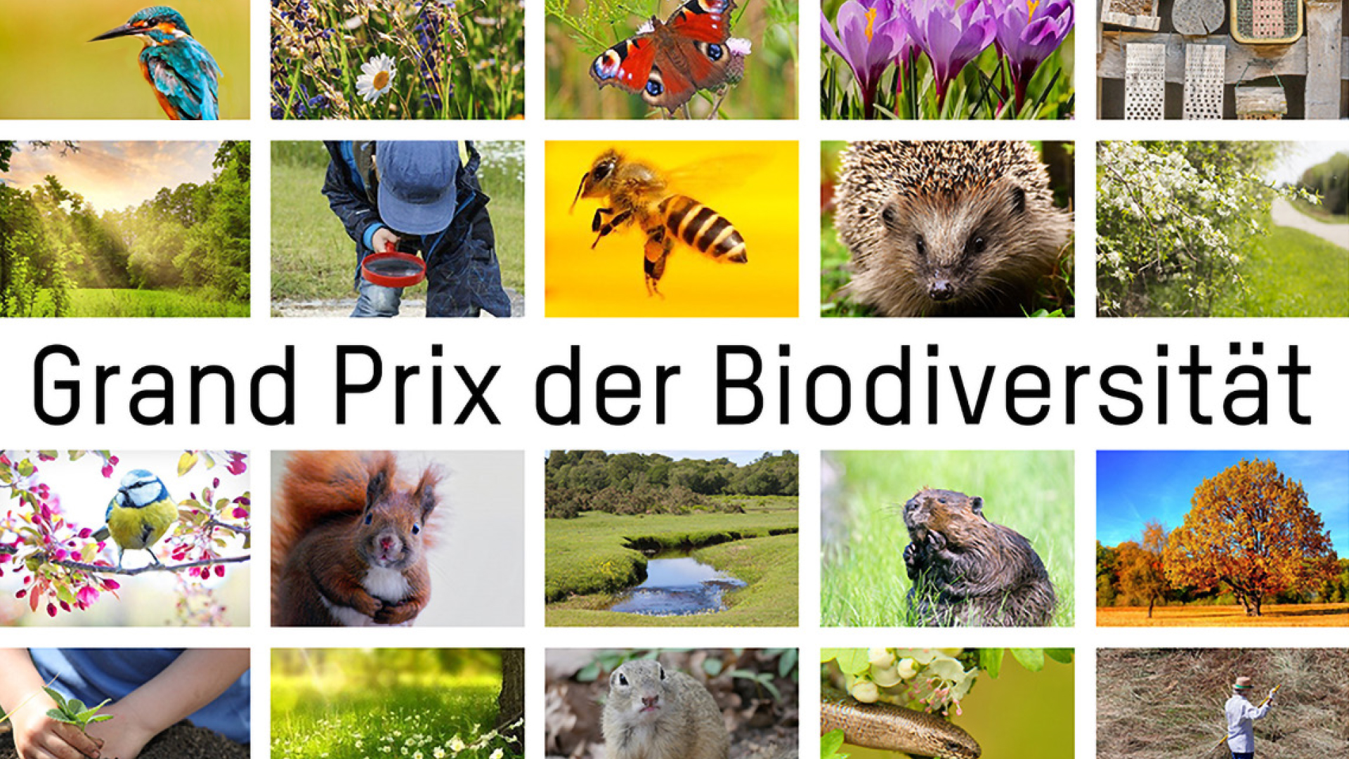 BIODIVERSITY GRAND PRIX 02