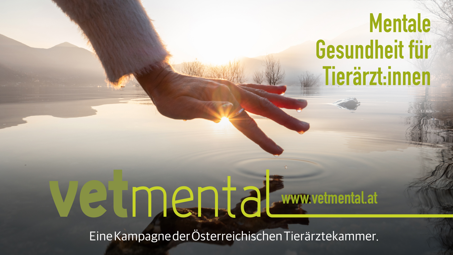 vetmental Juli August