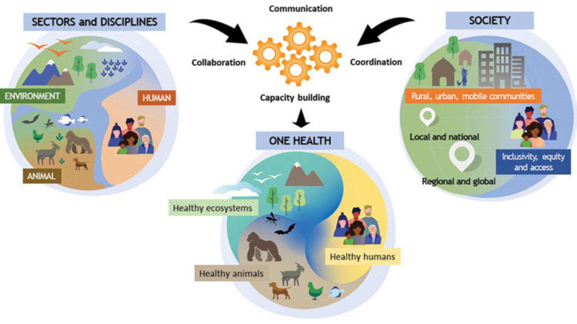 VJ202311 One Health Grafik Nagl