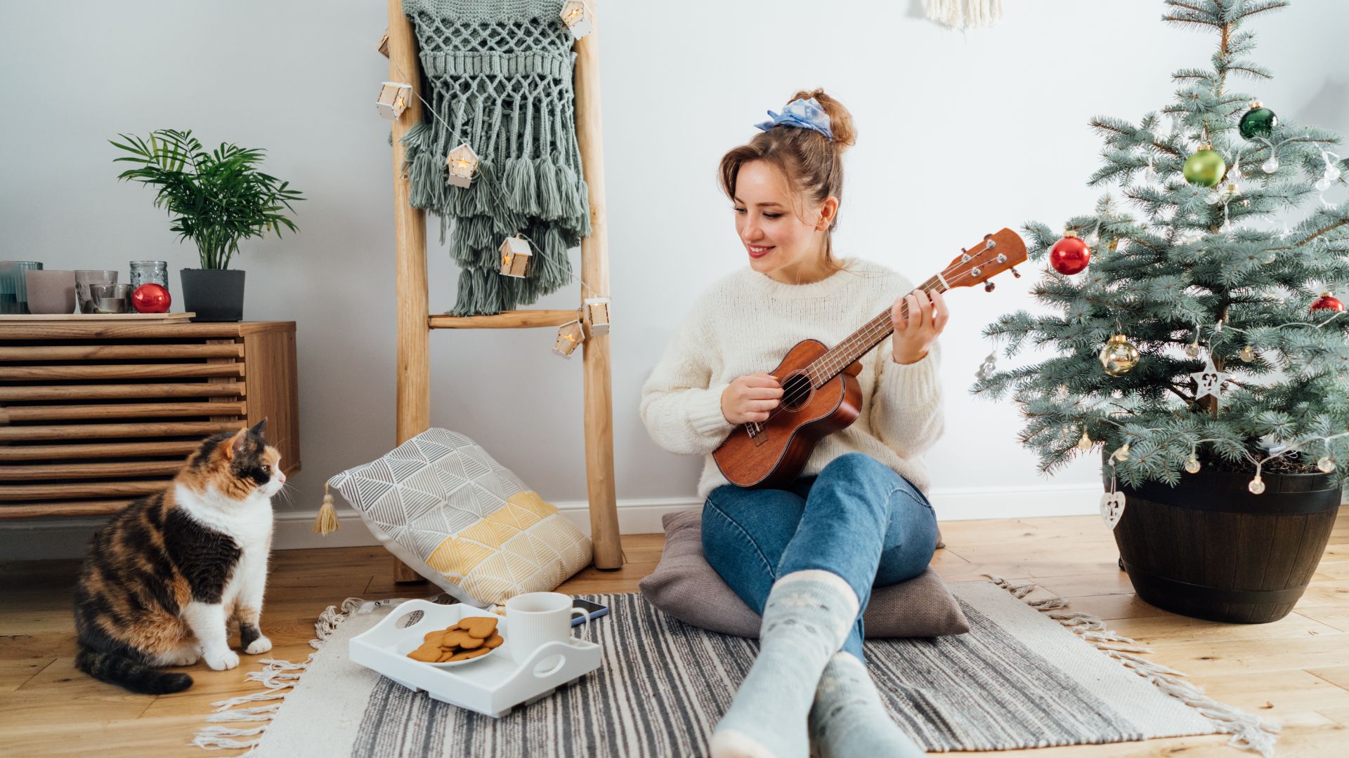 VJ12 2023 01 2024 Katzen Musik