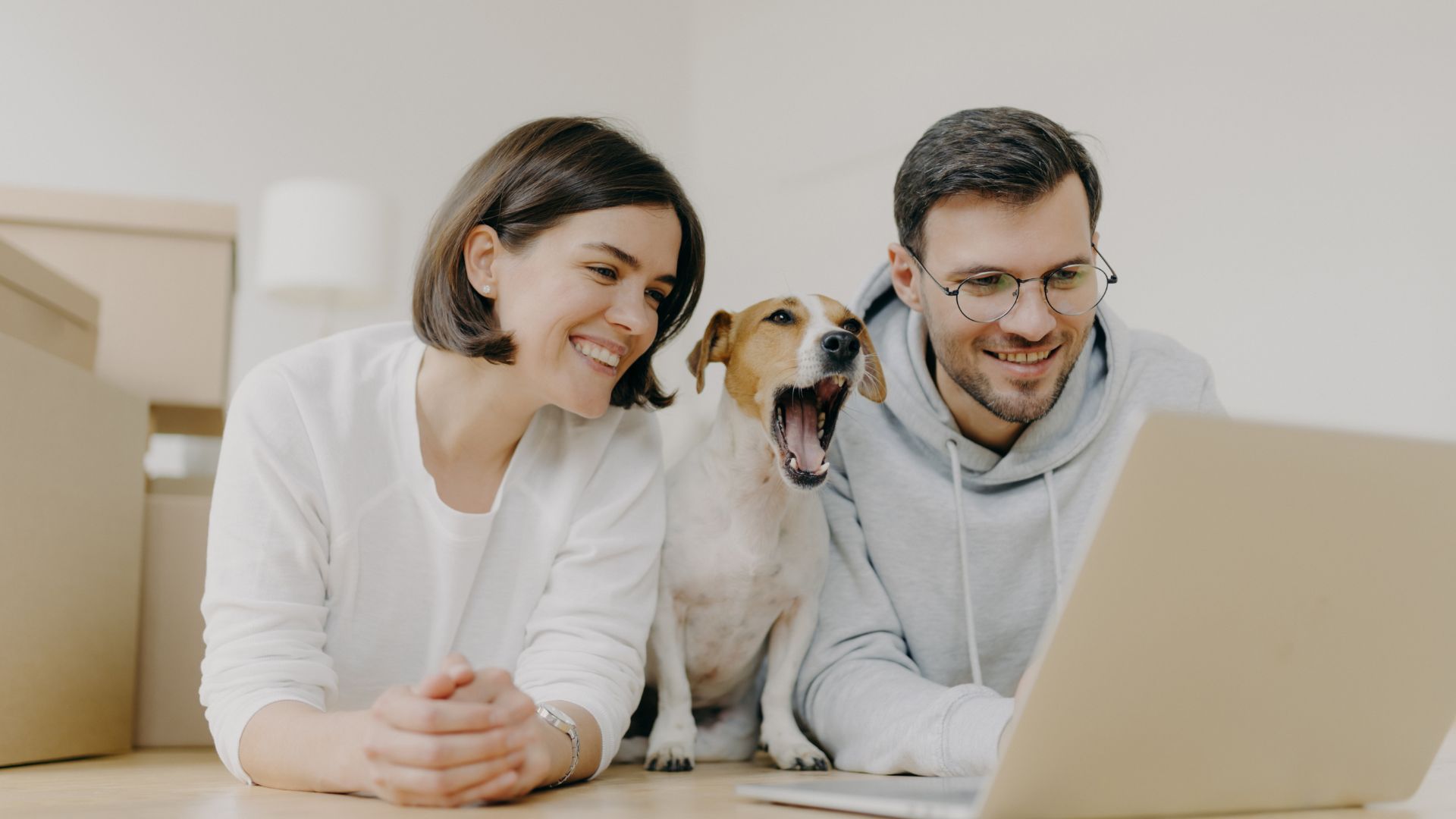 VJ202403 Tieraerztliche Telemedizin