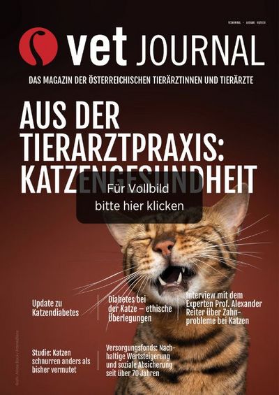 csm VJ202403 Cover Archiv 7efc6918a7