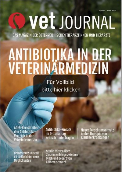 csm VJ 04 2024 Cover Archiv a33e0e1108