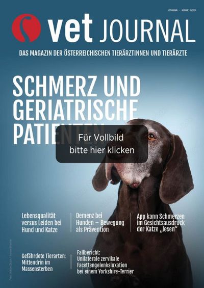 csm VJ 05 2024 Cover Archiv 66e68a22bd