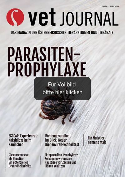 csm VJ 06 2024 Cover Archiv bb286384d2