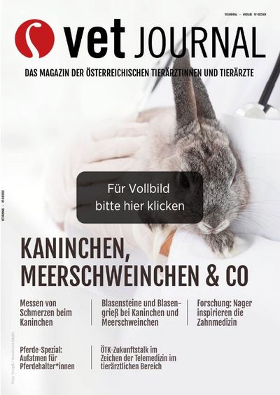 csm VJ 07 08 2024 Cover Archiv 062f9a25cb