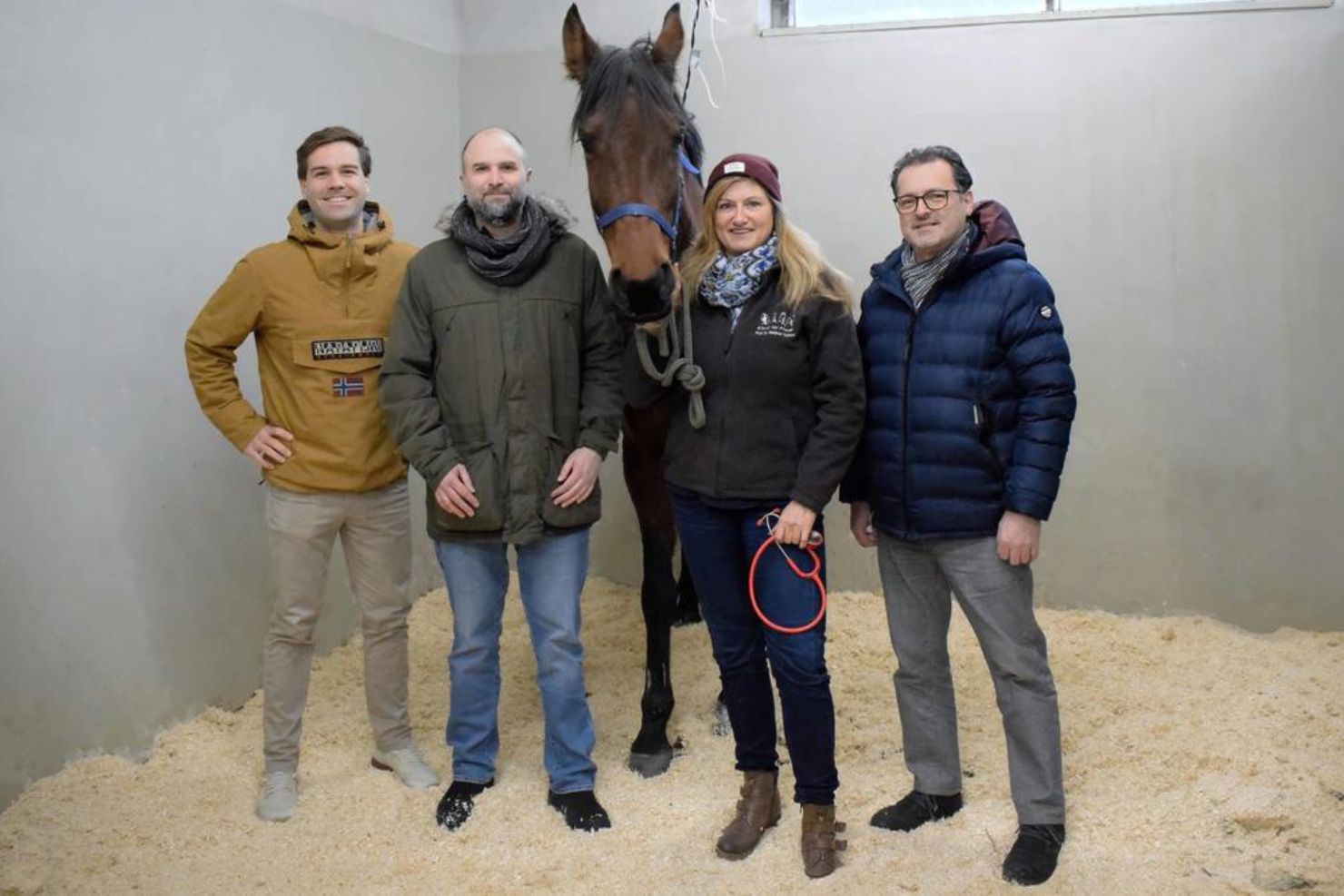 VJ202407 08 Pferde Asthma