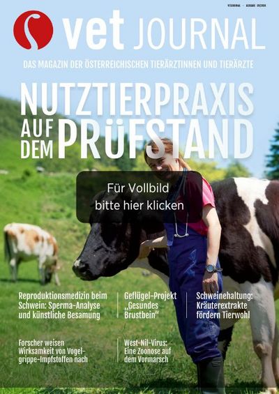 csm VJ 09 2024 Cover Archiv cb1de0ae33