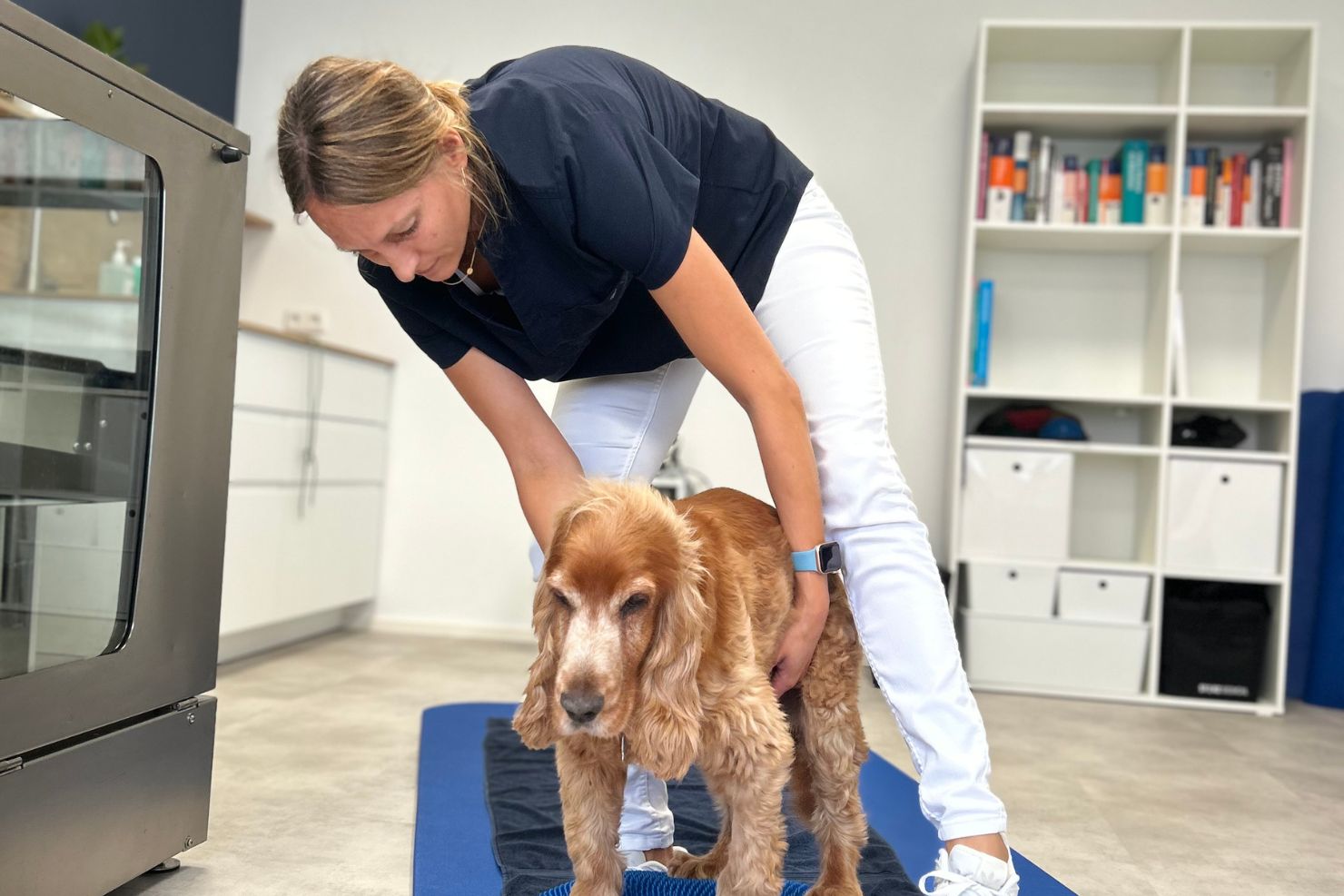 VJ202410 Physiotherapie Hund Wackelkissen