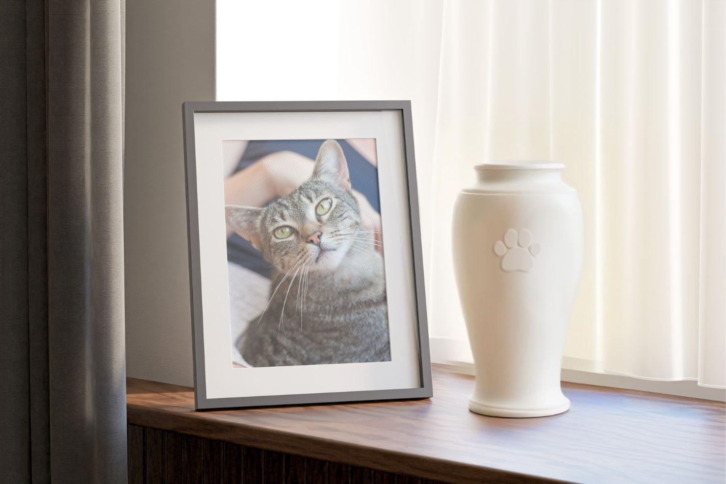 VJ202410 Wege Tod Urne Katze