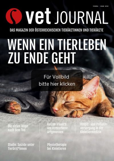 csm VJ 10 2024 Cover Archiv 2da6a6a9a8