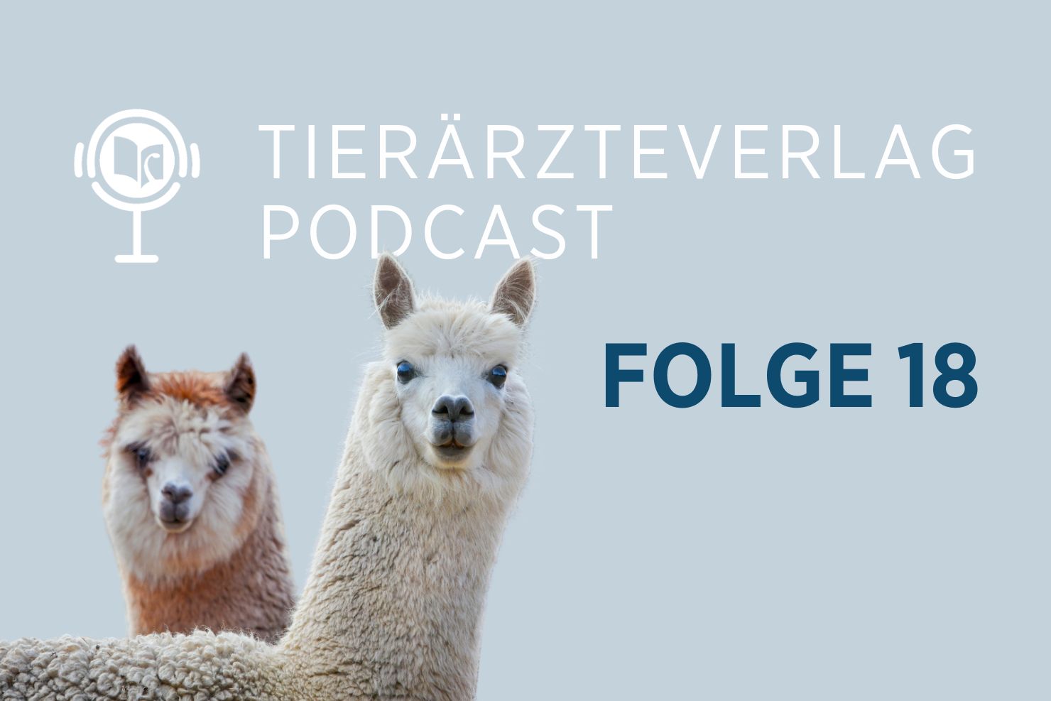News OETK PC Neuweltkameliden 20241114
