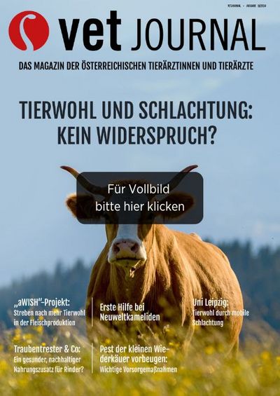 csm VJ 11 2024 Cover Archiv 1b1fea9e44