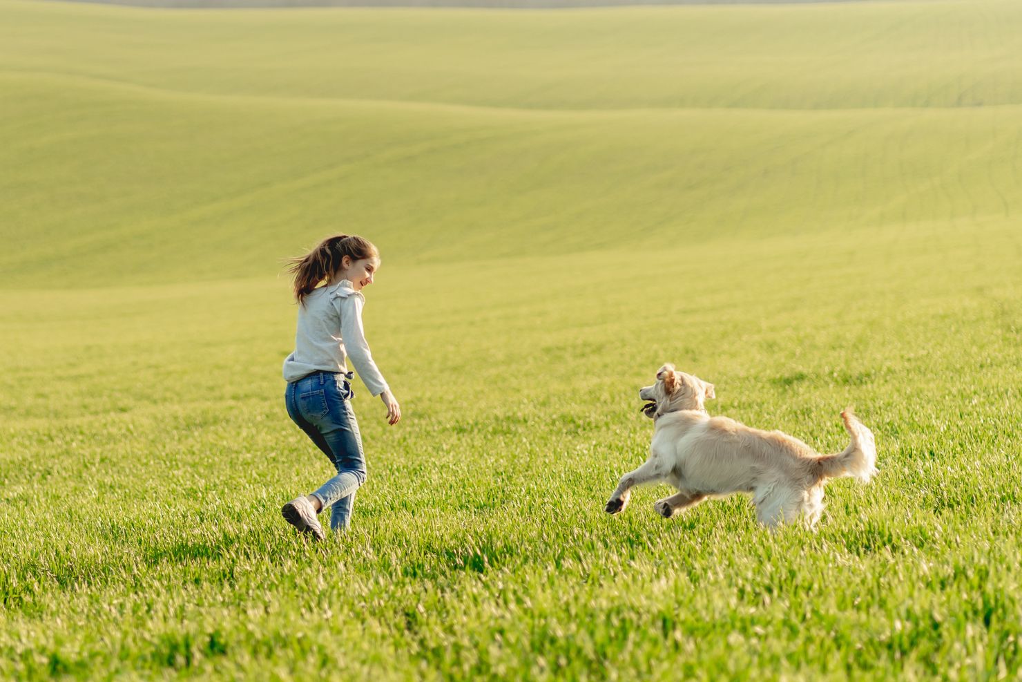 VJ202412 202501 Hund Kind Wiese