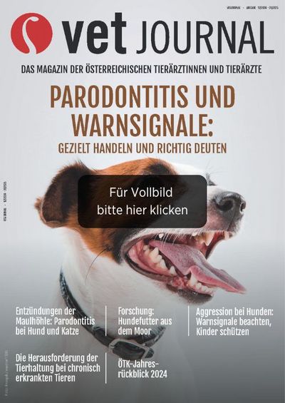 csm VJ 12 2024 01 2025 Cover Archiv c120eb46c1