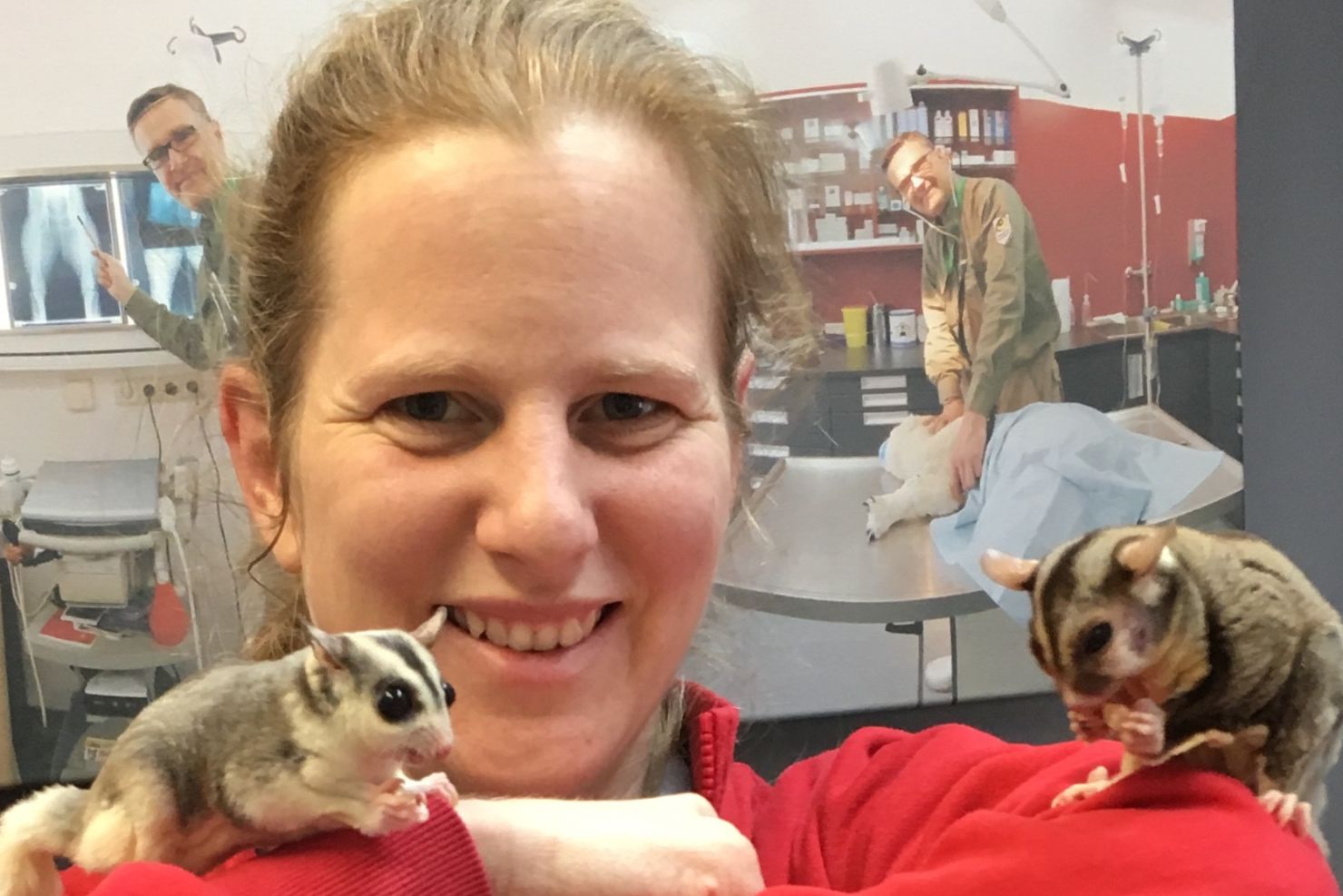 VJ202502 KleineHeimtiere Reitl Chinchilla