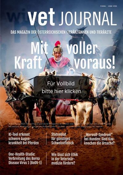 csm VJ 02 2025 Cover Archiv 51734cad08