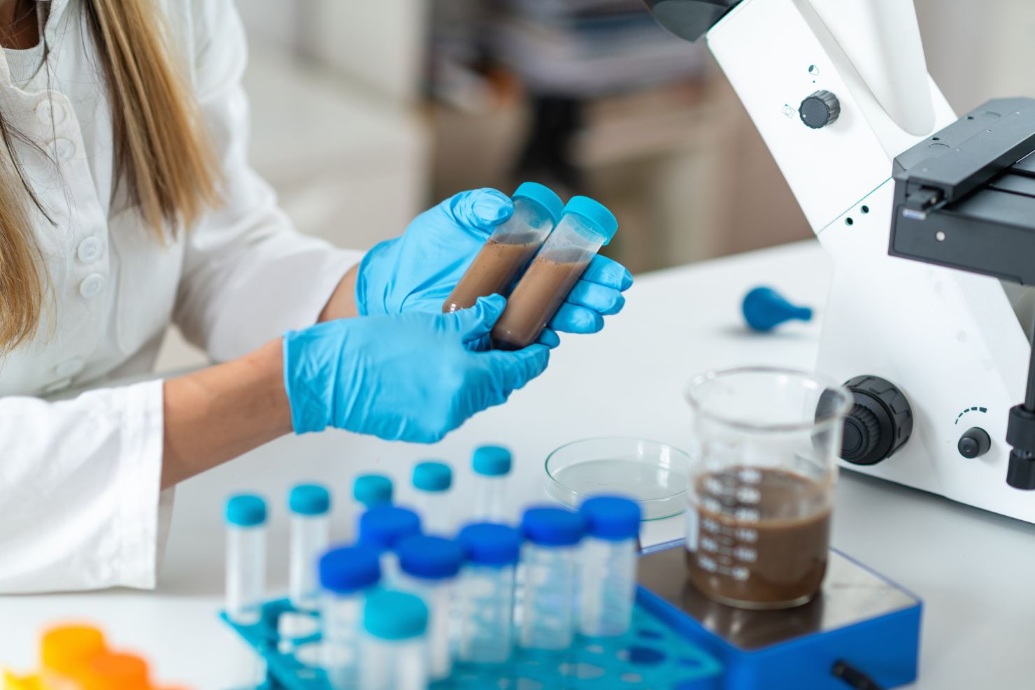 VJ202503 Kottransplantation Proben