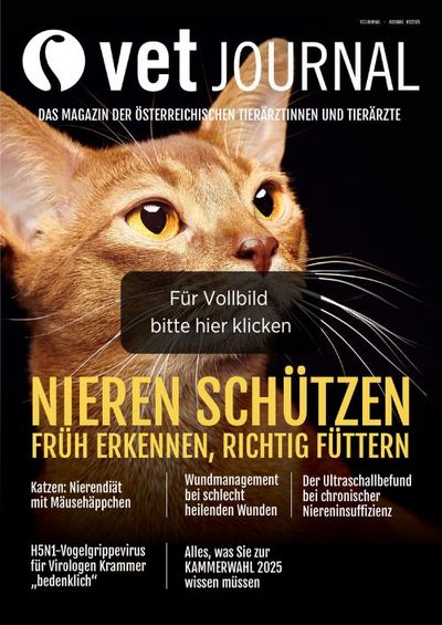 csm VJ 03 2025 Cover Archiv 20aa8e82a7