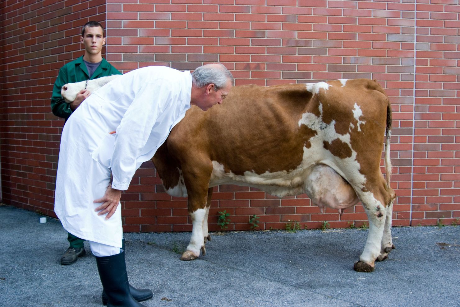 202504 MKS Baumgartner