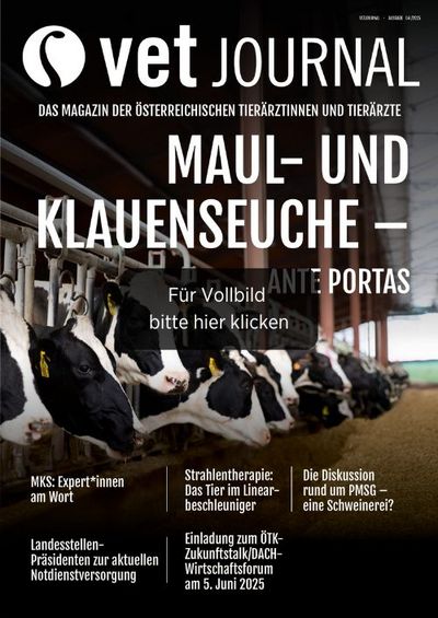 csm VJ 04 2025 Cover Archiv 85a3565783