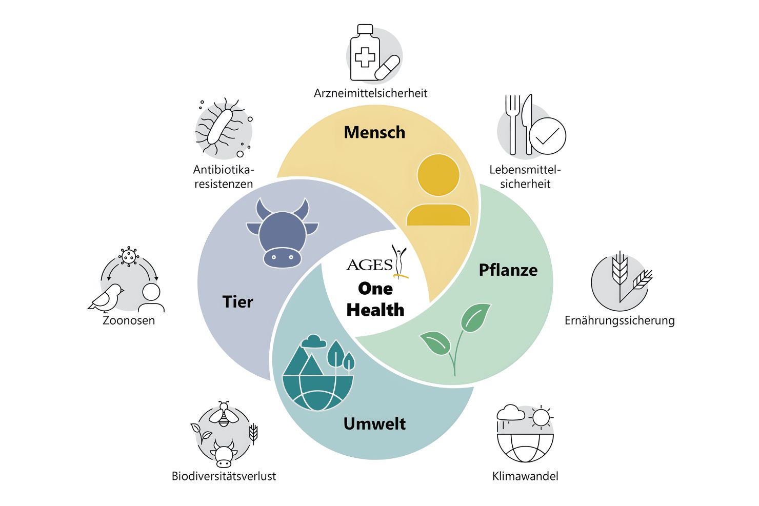 VJ05 2025 Antibiotika One Health