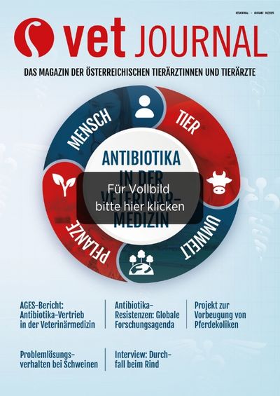 csm VJ 05 2025 Cover Archiv 86b4d99f01