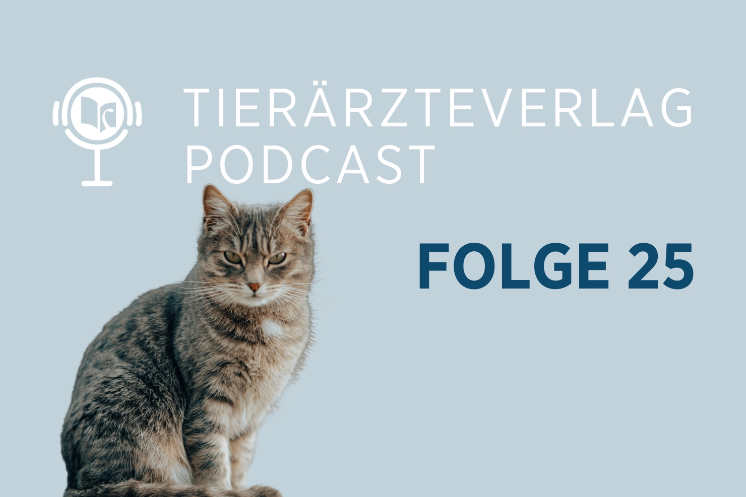 OETV News PC DIabetes 20250626