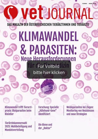 csm VJ 06 2025 Cover Archiv b3a452d58d