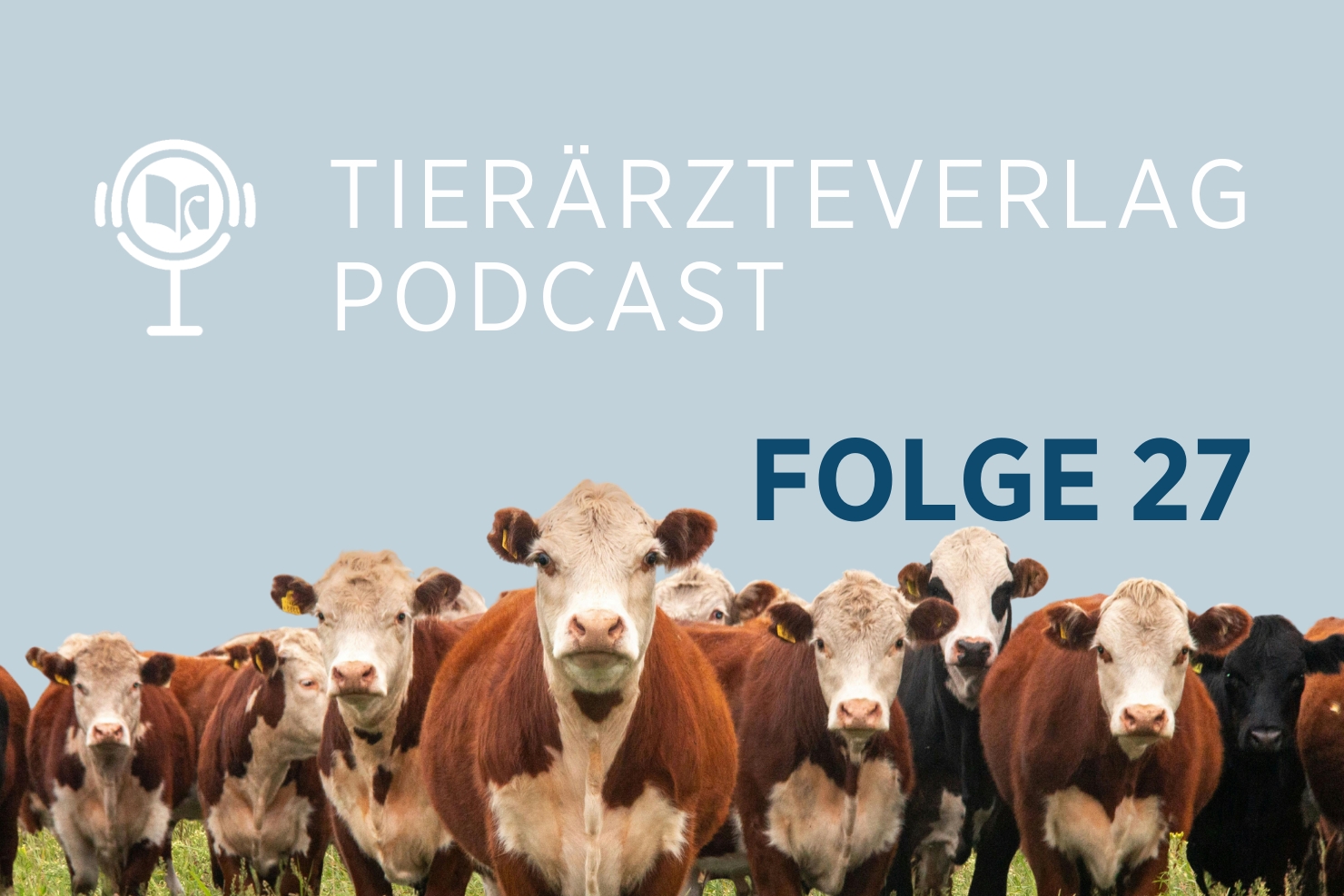 Anzeigebild OETV PC27 Huber 20250918