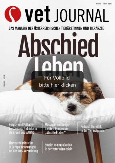 csm VJ 10 2025 Cover Archiv e3ff32d3dd