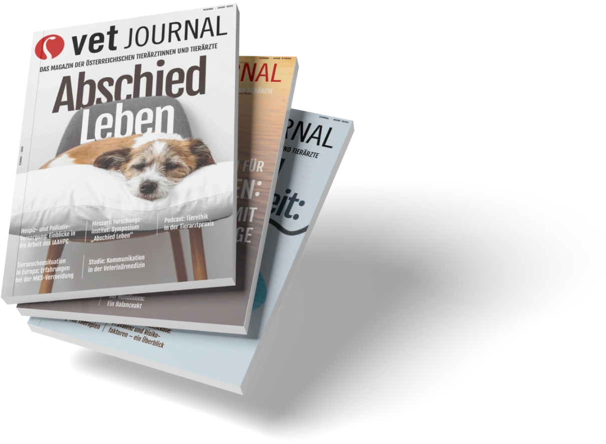 177370692 de88d0b3 aa0c 4ccb bea7 c0e89af890fe