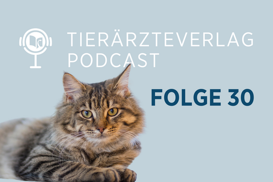 csm OETV News PC30 Verhaltensveraenderungen Katzen 20251218 09678d0277