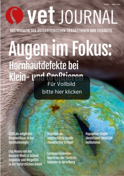 csm VJ 11 2025 Cover Archiv 96f8e977fe