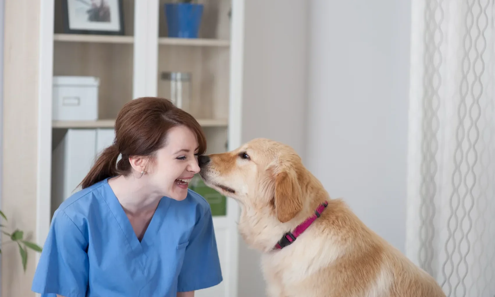 iStock 174988246 1 e1763997288863