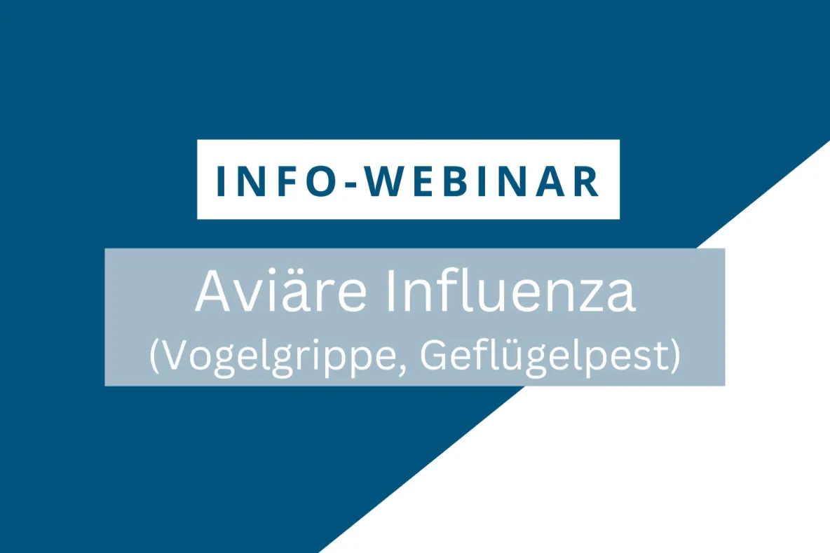 20241203 VETAK Webinar Aviaere Influenza