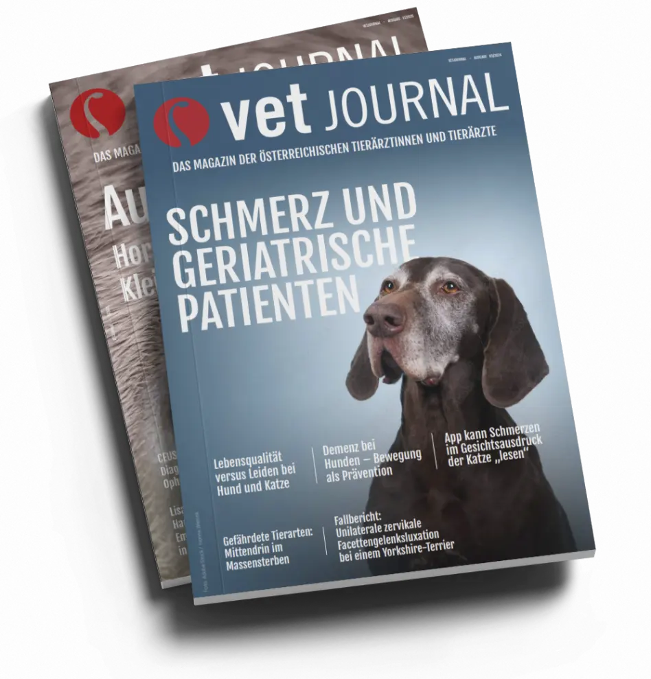 A4 magazine mockup 1