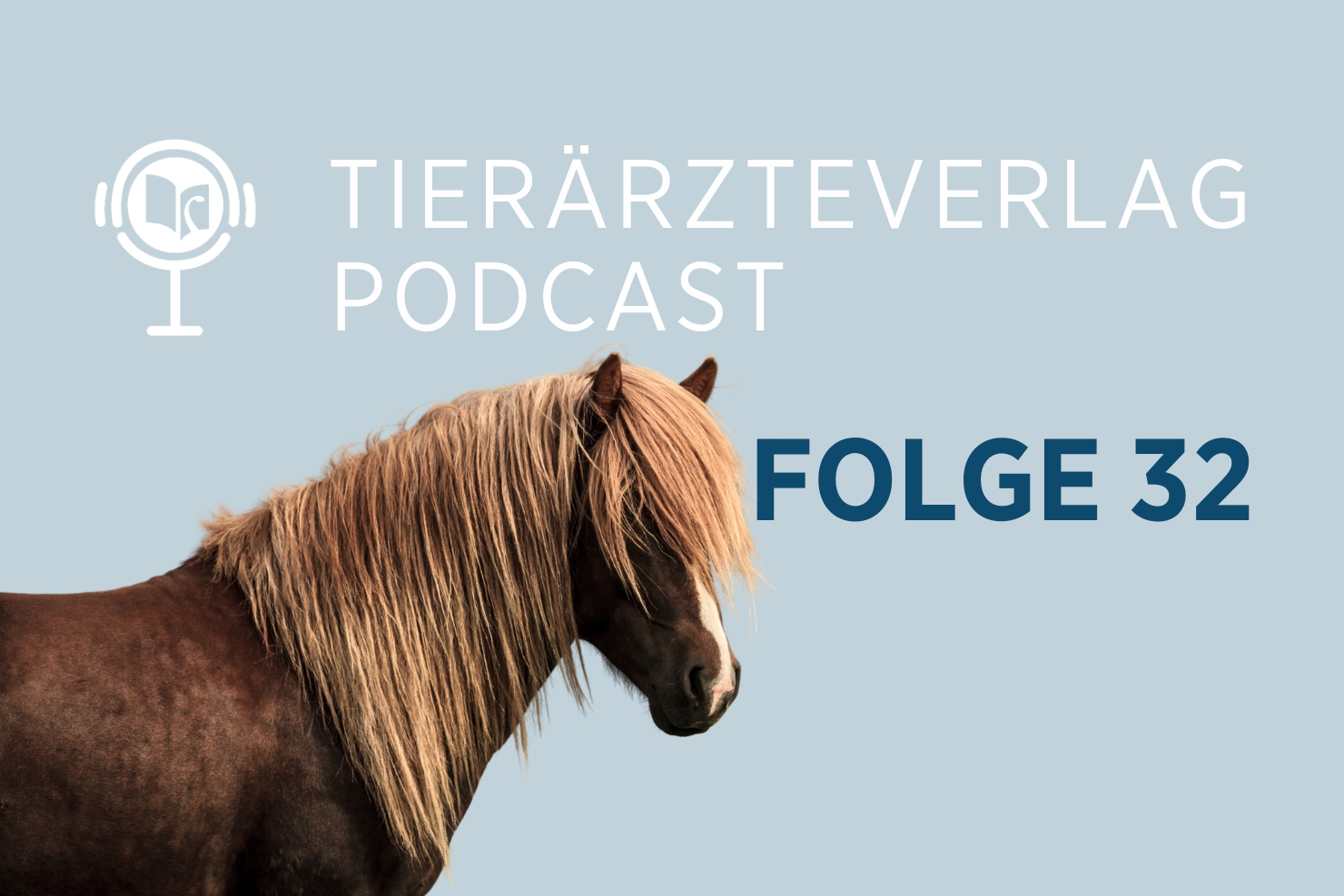 OETV News PC32 IBD Pferd 20260212