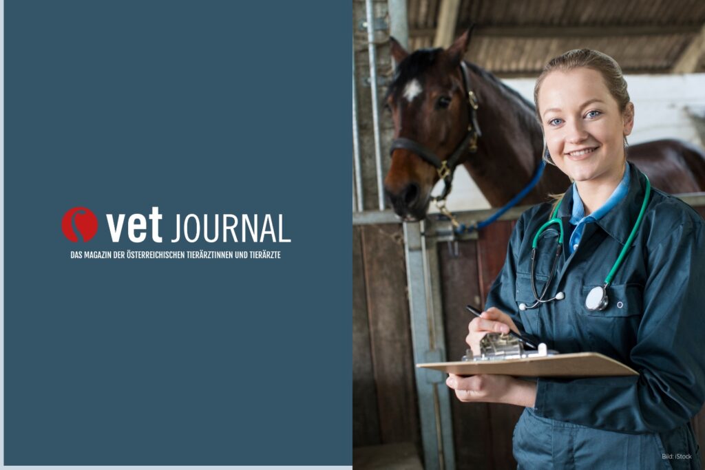 OETV News VJ 02 2026