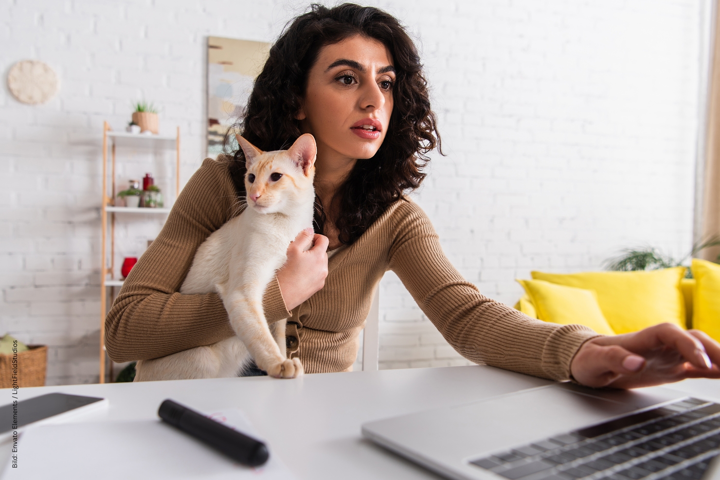 VJ 12 2025 01 2026 Tierversicherungen